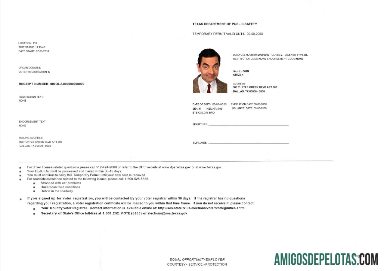 Permissão temporária para dirigir nos EUA e Texas exemplo